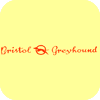 Bristol Greyhound